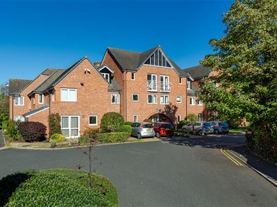 Picture 23